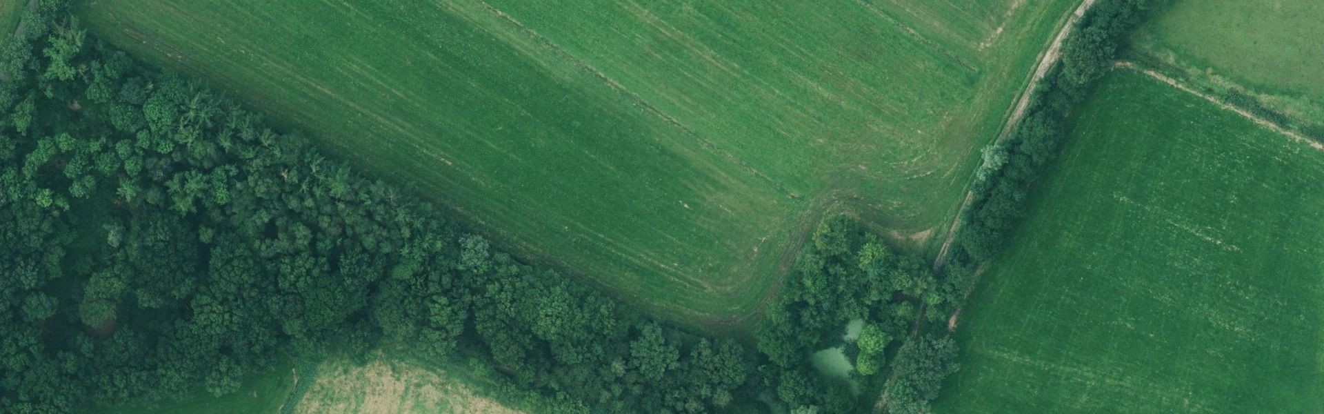 Satellietfoto van Achterveld met zichtbare zonnepanelen