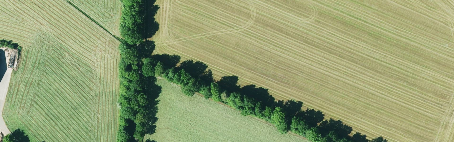 Satellietfoto van Agelo met zichtbare zonnepanelen