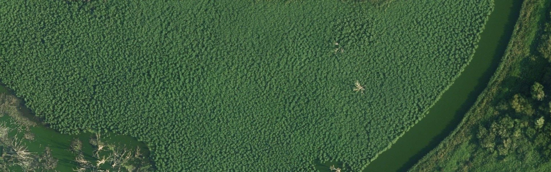 Satellietfoto van Almere met zichtbare zonnepanelen
